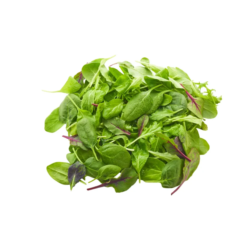 Malabar spinach