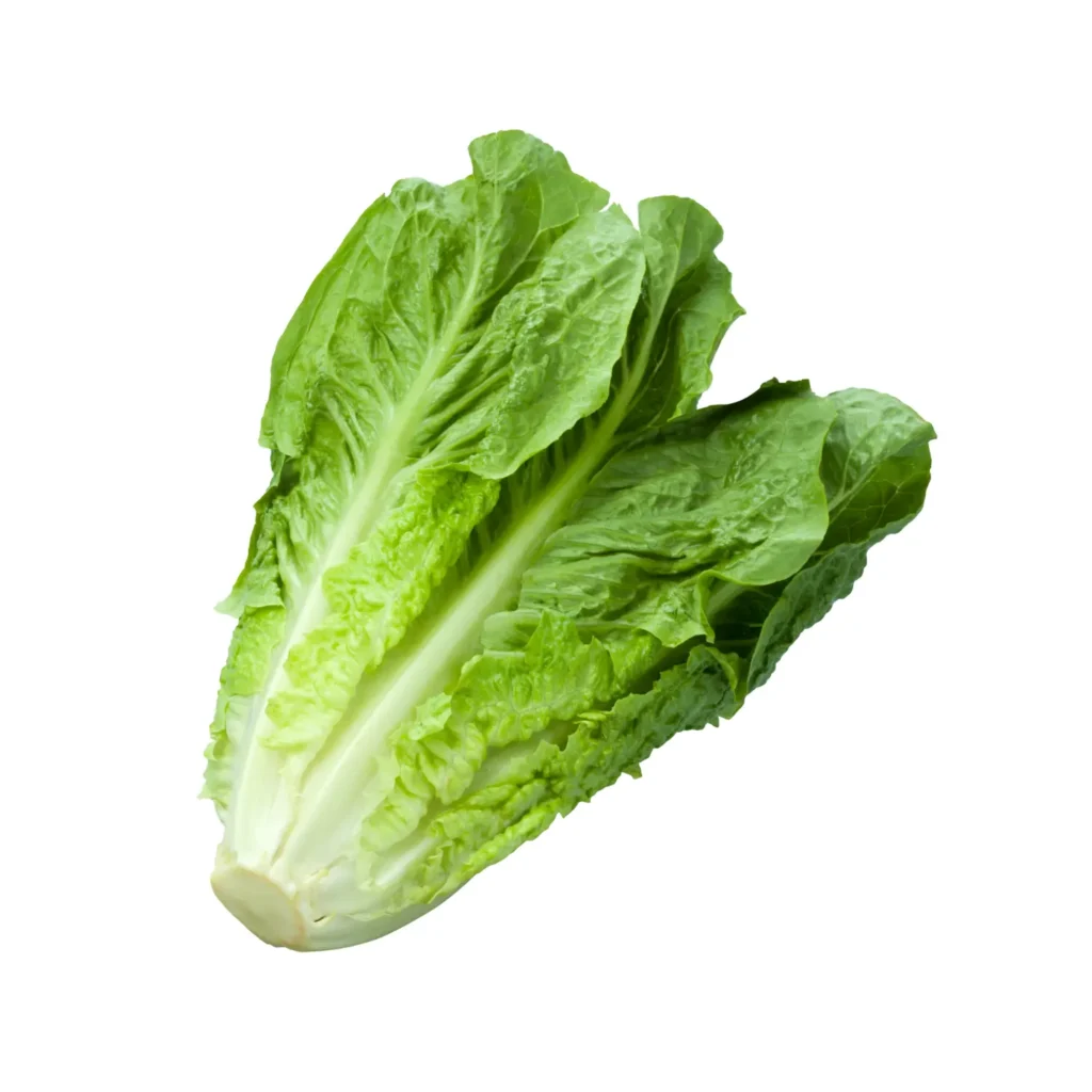 Romaine lettuce - 1 head